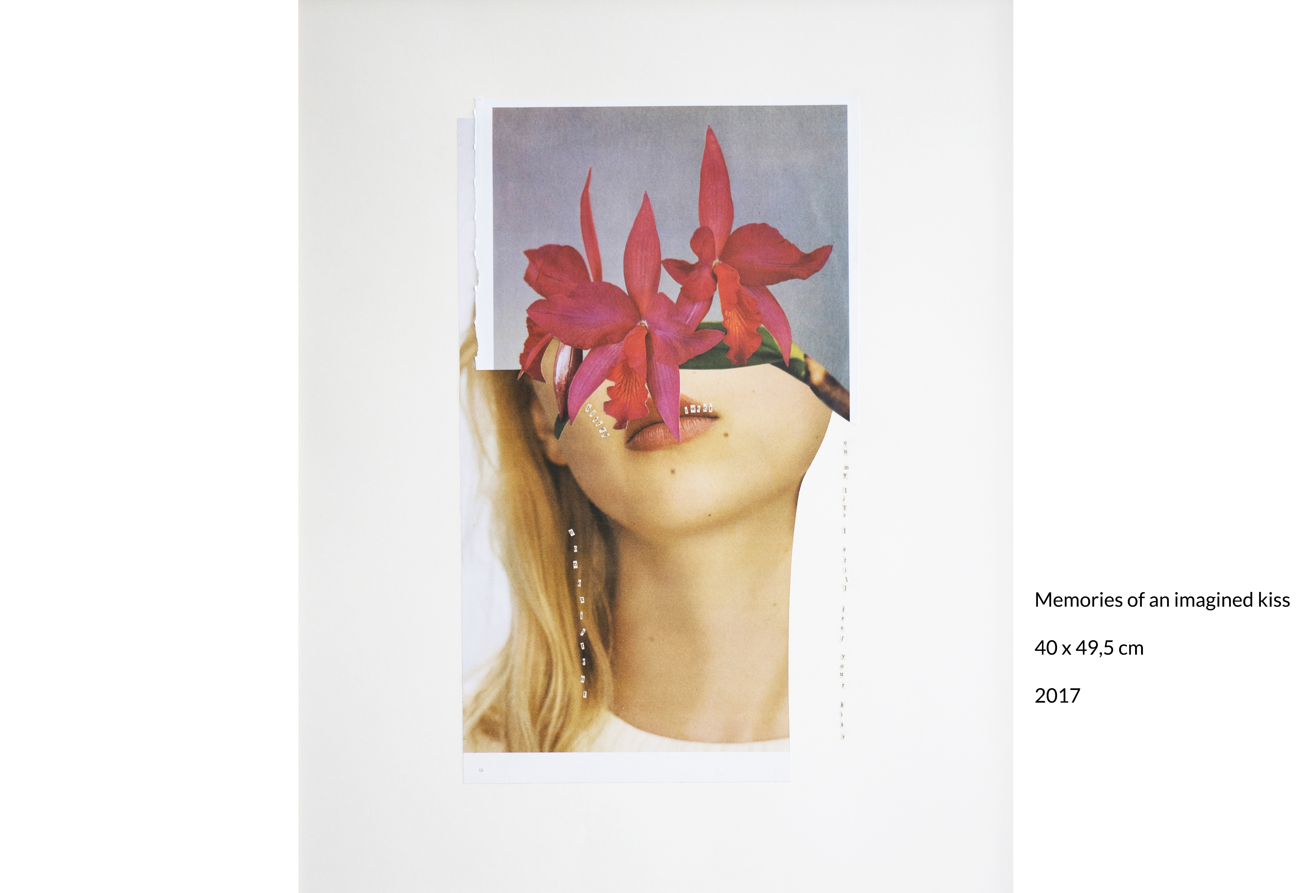 Memories of an imagines kiss, 40 x 49,5 cm, 2017